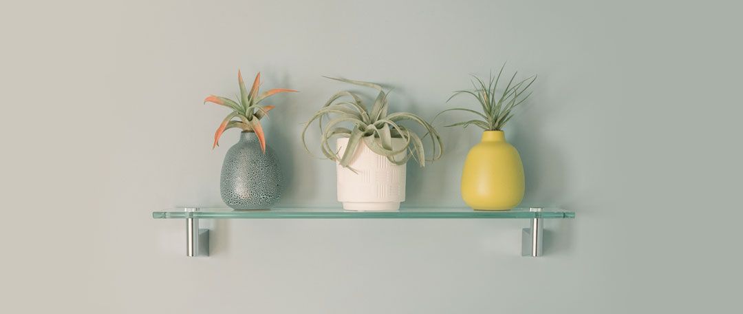 Foto pared pintada de gris con una repisa de cristal y jarrones con plantas