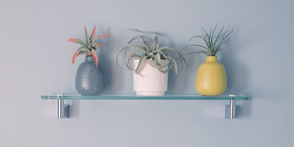 Foto de pared acabada con pintura gris, una repisa de cristal y jarrones con plantas